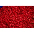 Dip koloryzujący Sonubaits Haze / Spicy Sausage / 100 ml  / *S0850057* sklep wędkarski makarfish 7