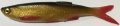 Guma Savage Gear 3D Bleak Real Tail / 10,5 cm / Rudd Minnow / 8 g / *48735* sklep wędkarski makarfish 2