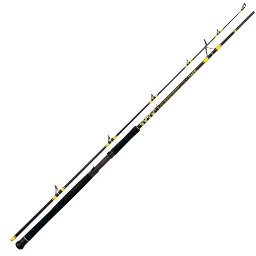 Wędka Black Cat Passion Pro DX Boat Spin / 2,40 m / 190 g / *16420240* sklep wędkarski makarfish