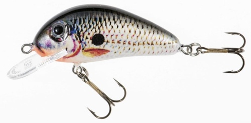 Wobler Jaxon Holo Select / Golbat / DA / 3,5 cm / 2,5 g / 0,4 - 0,8 m / *VJ-GB035FDA* sklep wędkarski makarfish