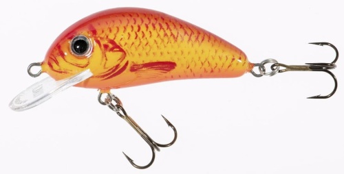 Wobler Jaxon Holo Select / Golbat / EN / 3,5 cm / 2,5 g / 0,4 - 0,8 m / *VJ-GB035FEN* sklep wędkarski makarfish