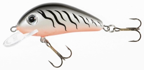 Wobler Jaxon Holo Select / Golbat / GN / 3,5 cm / 2,5 g / 0,4 - 0,8 m / *VJ-GB035FGN* sklep wędkarski makarfish