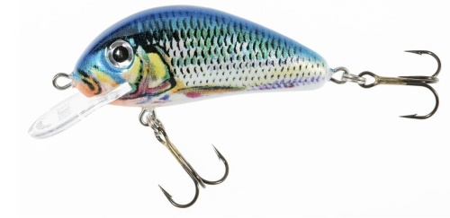 Wobler Jaxon Holo Select / Golbat / NA / 3,5 cm / 2,5 g / 0,4 - 0,8 m / *VJ-GB035FNA* sklep wędkarski makarfish