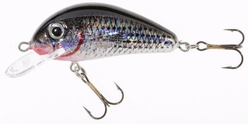 Wobler Jaxon Holo Select / Golbat / SL / 3,5 cm / 2,5 g / 0,4 - 0,8 m / *VJ-GB035FSL* sklep wędkarski makarfish