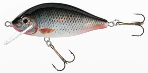 Wobler Jaxon Holo Select / Karaś / D / 7,5 cm / 13 g / 0,3 - 1,5 m / *VJ-KA8FD* sklep wędkarski makarfish