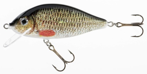 Wobler Jaxon Holo Select / Karaś / KZ / 7,5 cm / 13 g / 0,3 - 1,5 m / *VJ-KA8FKZ* sklep wędkarski makarfish