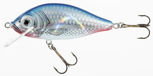 Wobler Jaxon Holo Select / Karaś / SN / 7,5 cm / 13 g / 0,3 - 1,5 m / *VJ-KA8FSN* sklep wędkarski makarfish