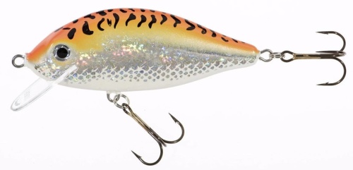 Wobler Jaxon Holo Select / Karaś / GFT / 9 cm / 17 g / 0,5 - 2,5 m / *VJ-KA9FGFT* sklep wędkarski makarfish