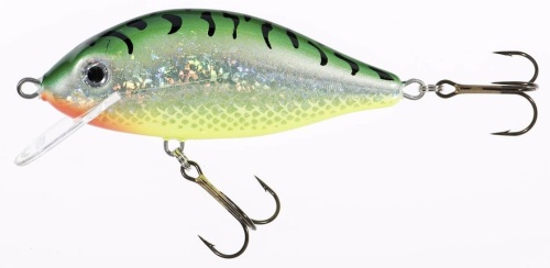 Wobler Jaxon Holo Select / Karaś / ST / 9 cm / 17 g / 0,5 - 2,5 m / *VJ-KA9FST* sklep wędkarski makarfish
