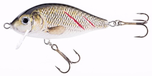 Wobler Jaxon Holo Select / Karaś SW / KSX / 7 cm / 10 g / 0,2 - 0,7 m / *VJ-KB07FKSX* sklep wędkarski makarfish