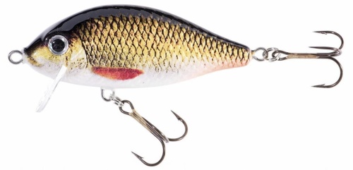 Wobler Jaxon Holo Select / Karaś SW / KZX / 7 cm / 10 g / 0,2 - 0,7 m / *VJ-KB07FKZX* sklep wędkarski makarfish