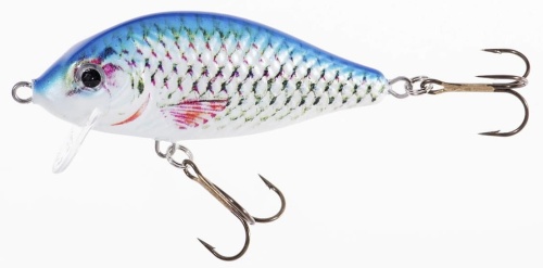 Wobler Jaxon Holo Select / Karaś SW / NAX / 7 cm / 10 g / 0,2 - 0,7 m / *VJ-KB07FNAX* sklep wędkarski makarfish