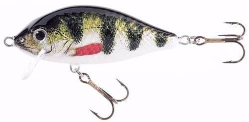 Wobler Jaxon Holo Select / Karaś SW / OEX / 7 cm / 10 g / 0,2 - 0,7 m / *VJ-KB07FOEX* sklep wędkarski makarfish