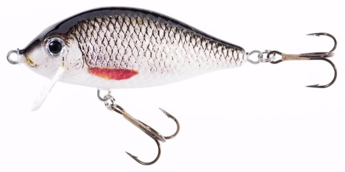 Wobler Jaxon Holo Select / Karaś SW / MX / 9 cm / 21 g / 0,3 - 0,8 m / *VJ-KB09FMX* sklep wędkarski makarfish