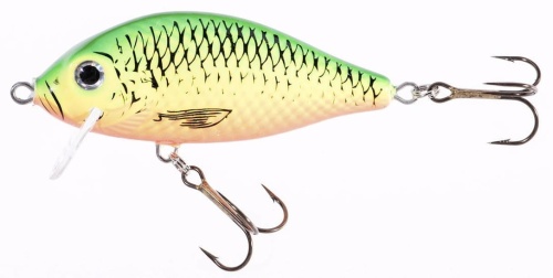 Wobler Jaxon Holo Select / Karaś SW / ZAX / 9 cm / 21 g / 0,3 - 0,8 m / *VJ-KB09FZAX* sklep wędkarski makarfish