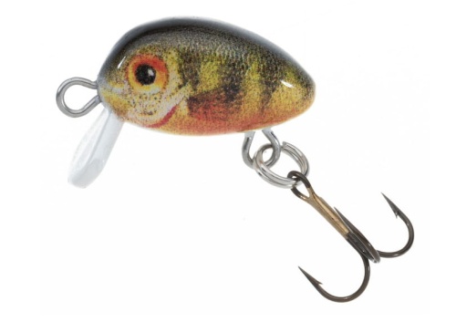 Wobler Jaxon Holo Select / Micron / KW / 2 cm / 1,2 g / 0,1 - 0,3 m / *VJ-MI02SKW* sklep wędkarski makarfish
