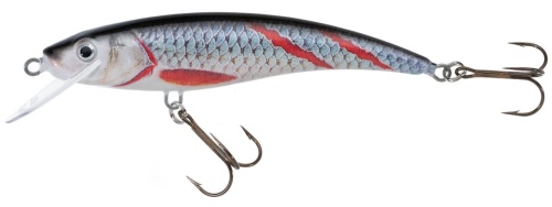 Wobler Jaxon Holo Select / Nidor / KSN / 8 cm / 8 g / 1,0 - 3,0 m / *VJ-NI08FKSN* sklep wędkarski makarfish