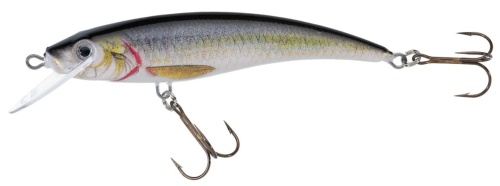 Wobler Jaxon Holo Select / Nidor / R / 8 cm / 8 g / 1,0 - 3,0 m / *VJ-NI08FR* sklep wędkarski makarfish