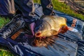 Mata Guru Fusion Mat Bag / Olive / 122 x 62 cm / *GLG021* sklep wędkarski makarfish 2