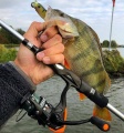 Kołowrotek Okuma JAW 40 FD / 3 + 1 bb / ∅ 0,25 mm - 260 m / *60735* sklep wędkarski makarfish 6