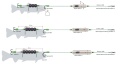 Zestaw sumowy Madcat Adjusta / Profi River Rig " Deadbait" / Small / *55992* sklep wędkarski makarfish 2
