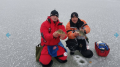 Ręcznik wędkarski Liwi / 50 x 30 cm / Niebieski / *U-R-GM*  sklep wędkarski makarfish 2