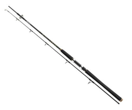 Wędka Daiwa BG Offshore Pilk / 2,10 m / 40 - 125 g / 2 cz / *11905-215* sklep wędkarski makarfish 1