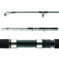 Wędka Daiwa BG Offshore Pilk / 2,10 m / 40 - 125 g / 2 cz / *11905-215* sklep wędkarski makarfish 2