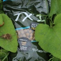 Kulki proteinowe Shimano TX1 / Tiger Nut / ∅ 15 mm / 500 g / *TX1TNB155000-500* sklep wędkarski makarfish 4