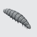 Guma Libra Lures Larva / 35 mm / 040 - Black / Kryll / 12 szt / sklep wędkarski Makarfish 2