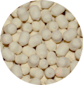 Match Pro Top Wafters Dumbells / 8 mm / N-Butyric / 20 g / *979323* sklep wędkarski Makarfish 2