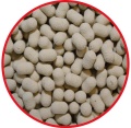 Match Pro Top Dumbells POP UP / 7 mm / Czosnek / 20 g / *979271*  sklep wędkarski Makarfish 2