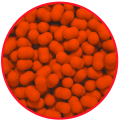 Match Pro Top Dumbells POP UP / 7 mm / Orange Chocolate / 20 g / *979275* sklep wędkarski Makarfish 2