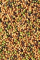 Pellet Feeder Bait Prestige / Fish Meal Sweet / 2 mm / 800 g / *FB11-10* sklep wędkarski Makarfish 2