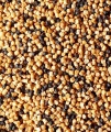Pellet Feeder Bait Prestige / Fish Meal Natural / 2 mm / 800 g / *FB11-9* sklep wędkarski Makarfish 2