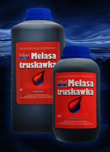 Melasa Boland  1000 ml  Truskawka   makarfish.jpg