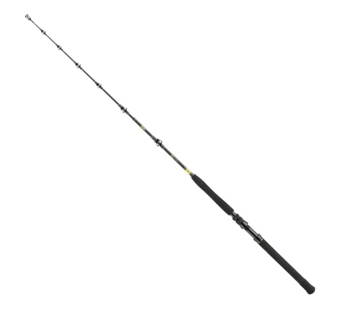 Wędka Daiwa BG Big Game / 1,68 m / 30 - 50 lbs / 3 cz / *11929-166*  sklep wędkarski Makarfish 1