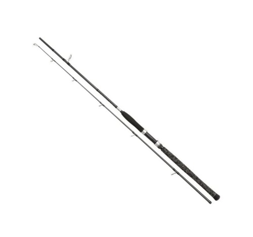 Wędka Penn Legion Cat Silver Spin / 2,40 m / 40 - 160 g / *1519177* sklep wędkarski Makarfish 1