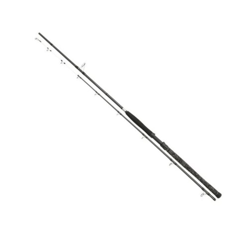 Wędka Penn Legion Cat Silver River Monster / 2,90 m / 450 g / *1519183* sklep wędkarski Makarfish 1