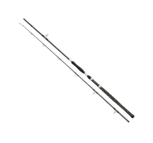 Wędka Penn Legion Cat Silver Power Allround / 3,00 m / 200 - 400 g / *1519191* sklep wędkarski Makarfish 1