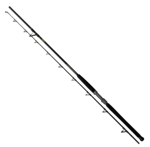 Wędka sumowa Black Cat Solid Bank / 2,90 m / 100 - 500 g / 2 cz / *16499290* sklep wędkarski Makarfish 1