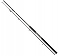 Wędka sumowa Black Cat Solid Spin/ 2,40 m / 40 - 160 g / 2 cz / *16498240* sklep wędkarski Makarfish 1