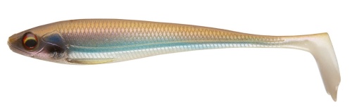 15600-309_1.jpg