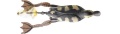 Kaczka Savage Gear 3D Hollow Body Duckling Weedless The Fruck / Natural / Small / 7,5 cm / 15 g / *57391* sklep wędkarski makarfish 2