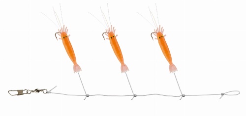 55-65404_1.jpg